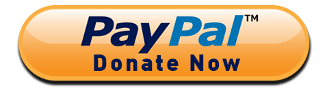 Paypal-Donate-PNG-Transparent-Image